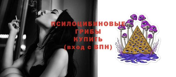 амф Надым