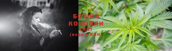трава Алексин