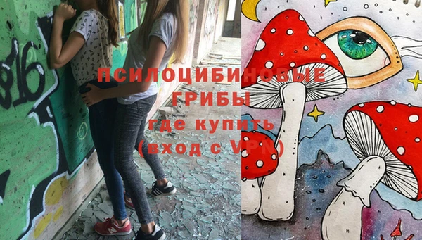молекула духа Алзамай