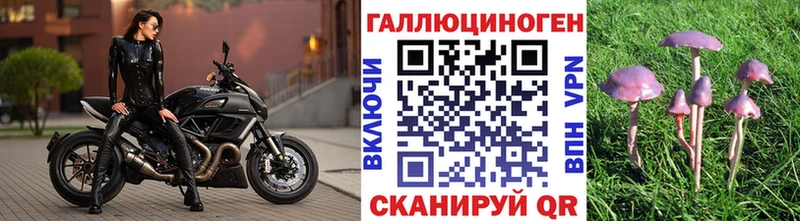 Галлюциногенные грибы Magic Shrooms  наркота  Нижний Ломов 